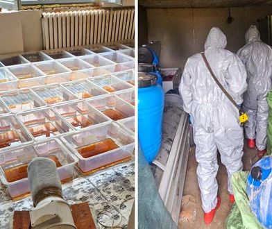 Polskie "Breaking Bad" pod Koninem. Ojciec chemik pracował z synem