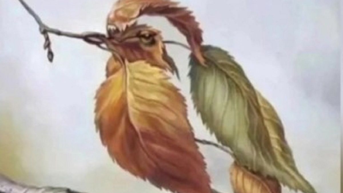 Co widzisz na grafice? 