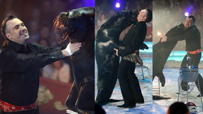 Pocałunek Szymona Wydry z foką