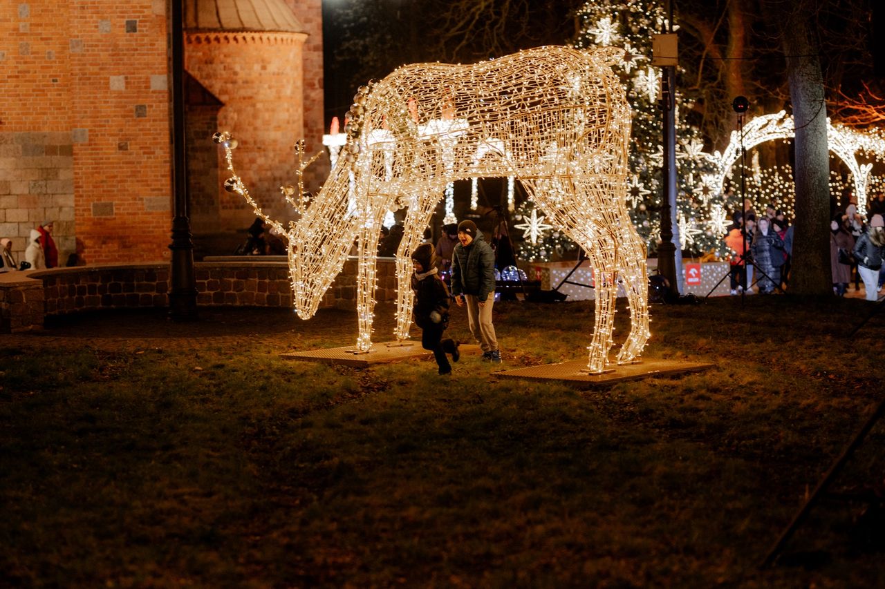 Inauguracja świątecznych iluminacji w Płocku. Płockie Ogrody Światła 2025 startują 6 grudnia