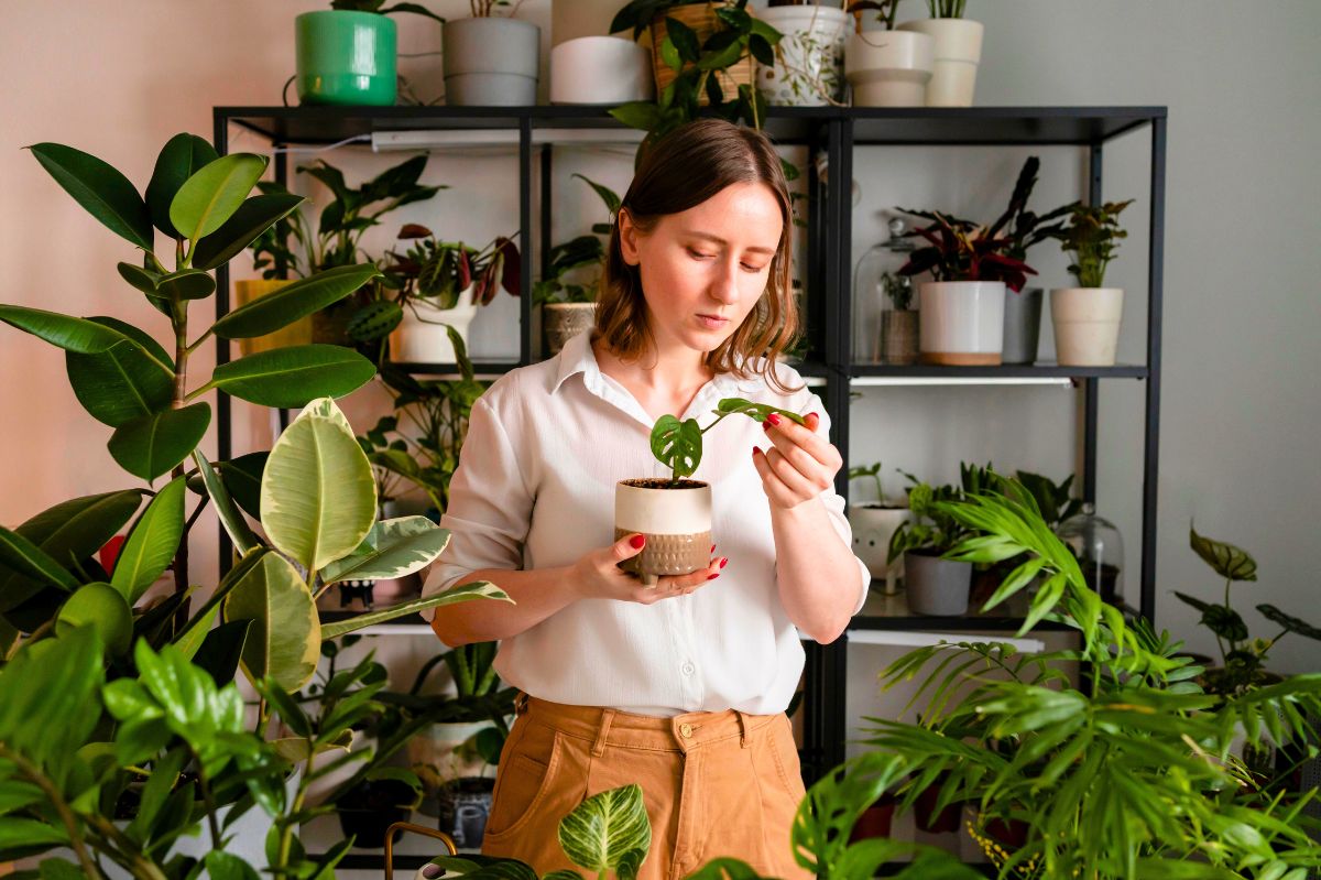 Uninvited Guests: Battling 0.08 inch White Pests in Your Plant Pots