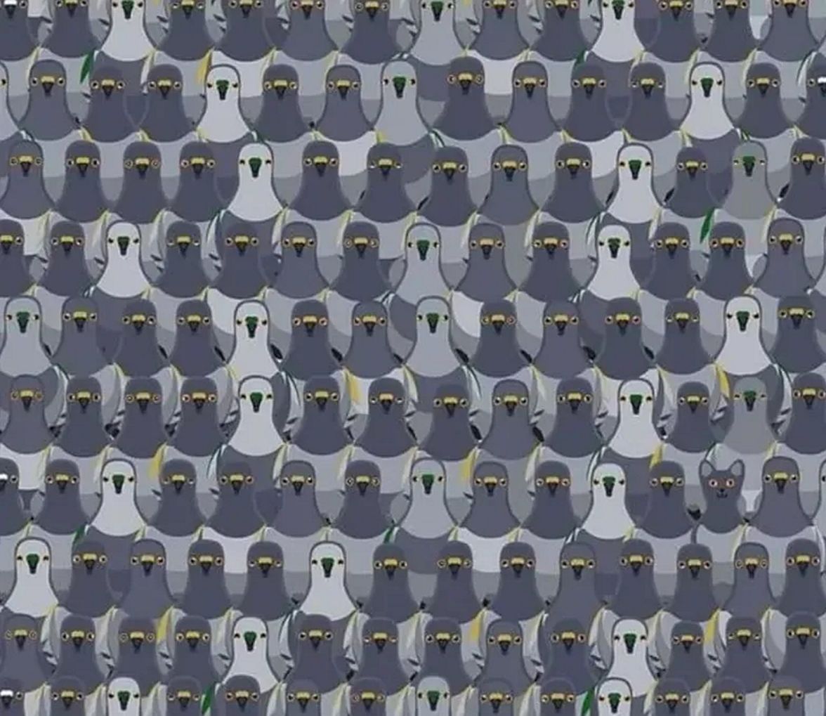 Znajdź kota ukrytego na obrazku