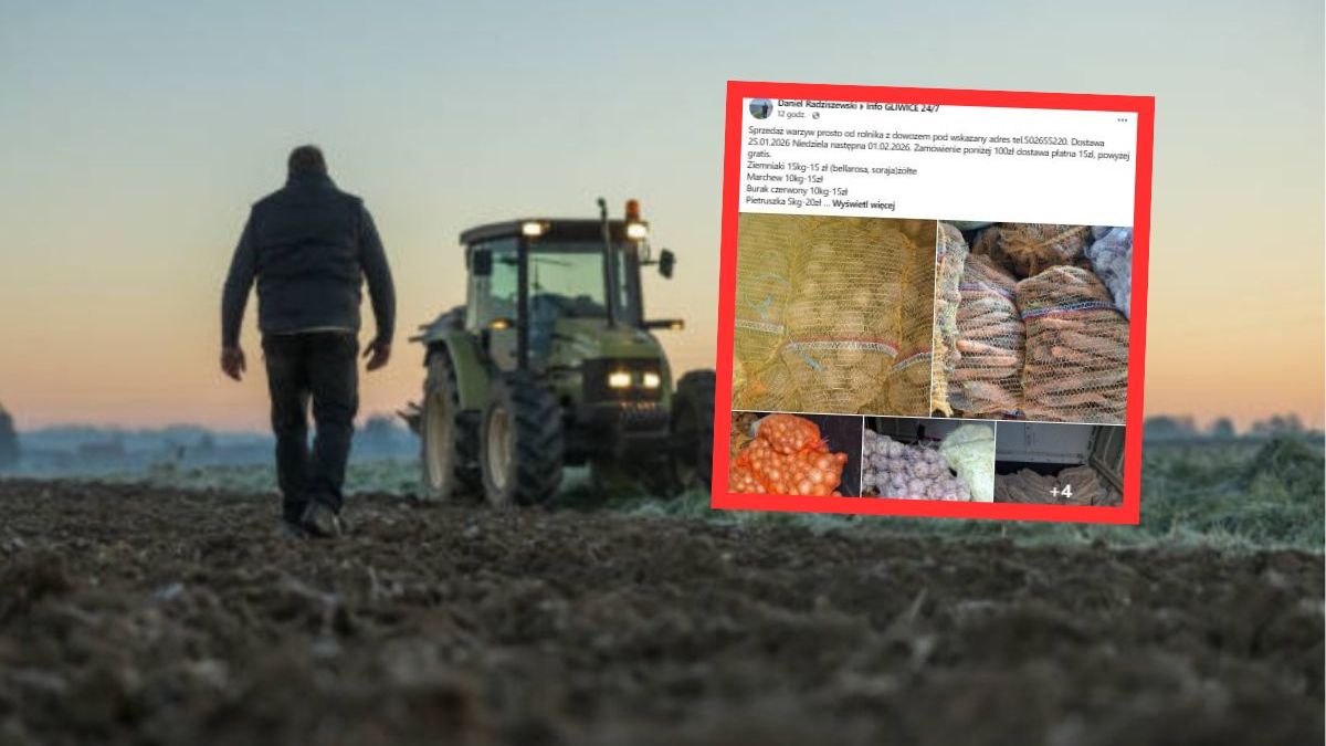 Rolnik z dowozem do domu. Ogłoszenie z Gliwic przyciąga uwagę