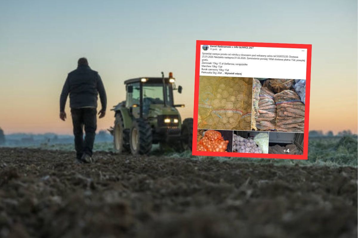 Rolnik handluje nawet zimą. 1 kg za 1 zł. Takich cen w markecie nie zobaczysz