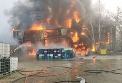 Ogromny pożar hali na Mazowszu. Ucierpiał strażak