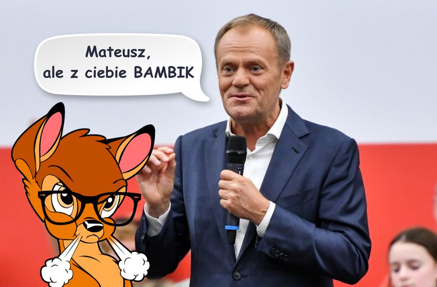 Donald Tusk nazwał Mateusza Morawieckiego "bambikiem"