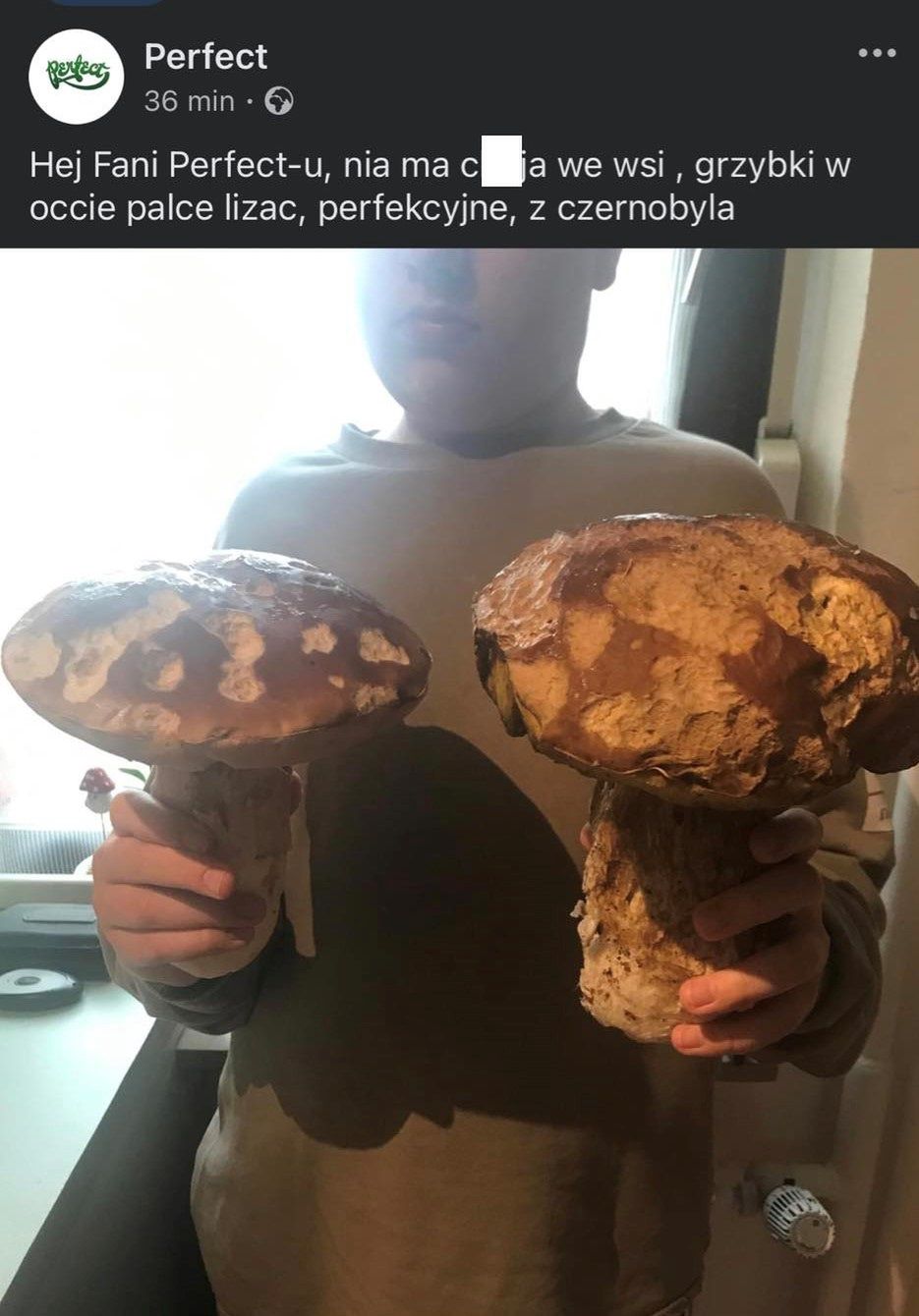Niepokojące wpisy na facebookowym profilu zespołu Perfect