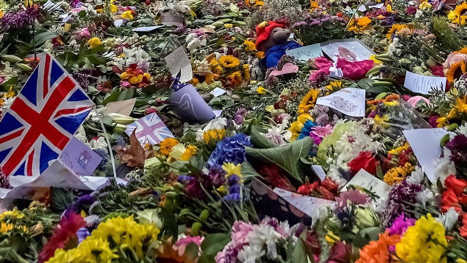 Władze proszą, by zostawiać wyłącznie rzeczy, które nadają się do kompostowania 