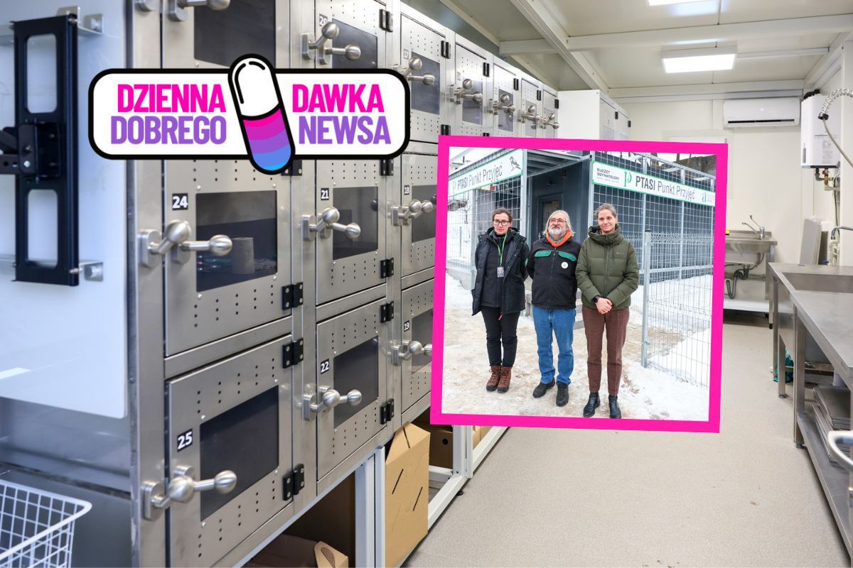 Szybsza pomoc dla ptaków. Ptasi Azyl rośnie w siłę. Nowy punkt 24/7