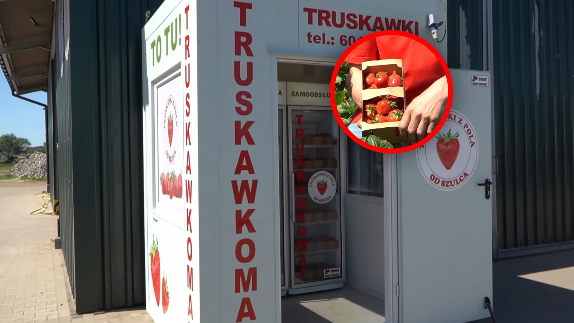 Szał na truskawki z automatu. "O 22:00 też kupują"