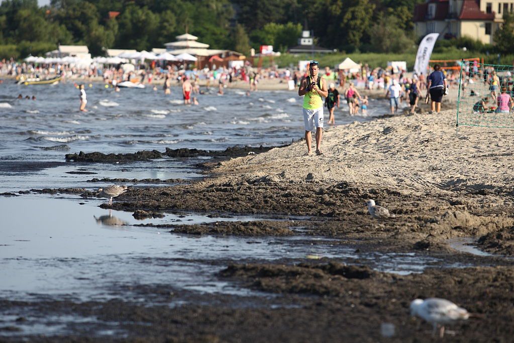 Sinice w Bałtyku. Sanepid zamyka nadmorskie kąpieliska