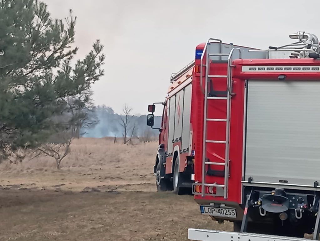 Rozległy pożar traw na terenie powiatu opolskiego