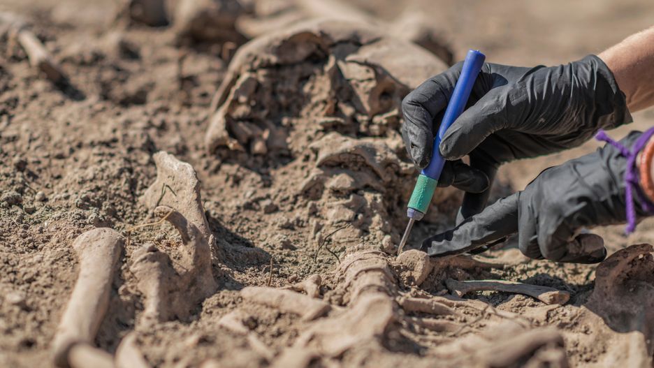 Ekshumacja to procedura polegająca na wydobyciu zwłok lub szcząt