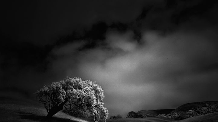 Nastrojowe zdjęcia drzew i krajobrazów w technice podczerwieni 1