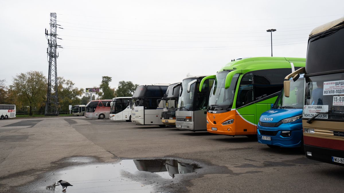 autobus dworzec autokary transport