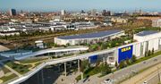 Zielony sklep przyszłości. IKEA wchodzi na wyżyny poziom kreatywności