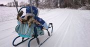 Posypuję ziemniaka solą. Szybko rozprawiam się z zimowym problemem