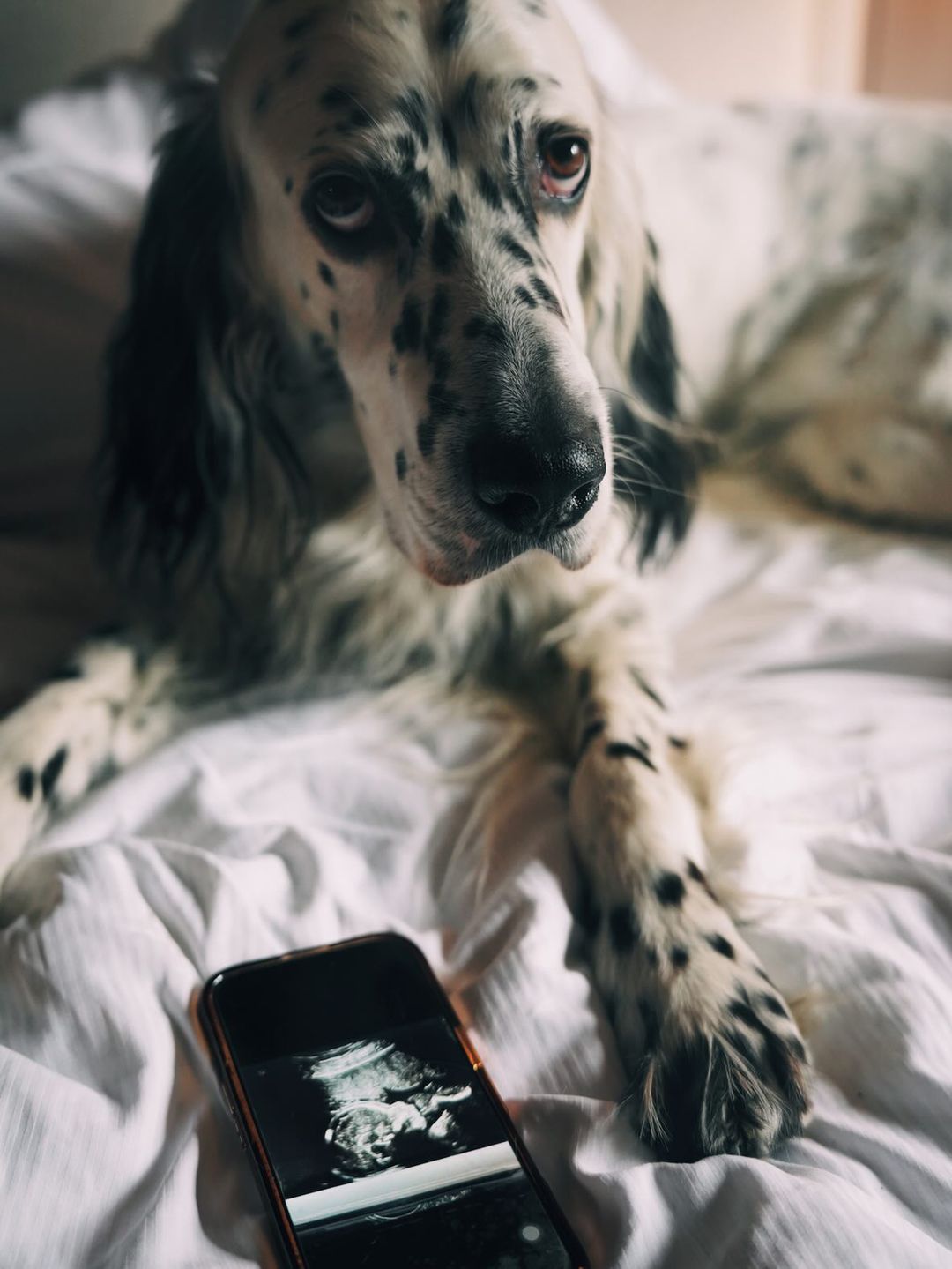 Jessica Ziółek jest w ciąży