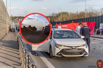 Wypadek w Łomiankach. Wieści ws. kierowcy. "Zdał sobie sprawę"