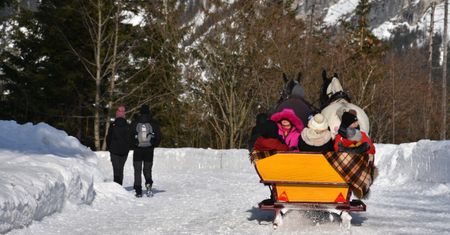 Kulig droższy od lotu samolotem. Zakopane "odleciało" Polakom