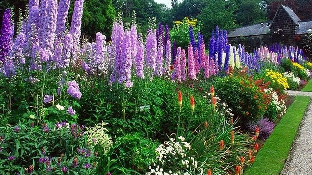 Zamień swój pulpit w piękny ogród - zbiór tapet 1
