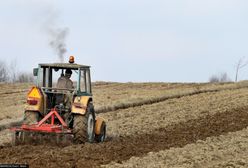 Potężny wzrost cen nawozów. Rolnicy lamentują