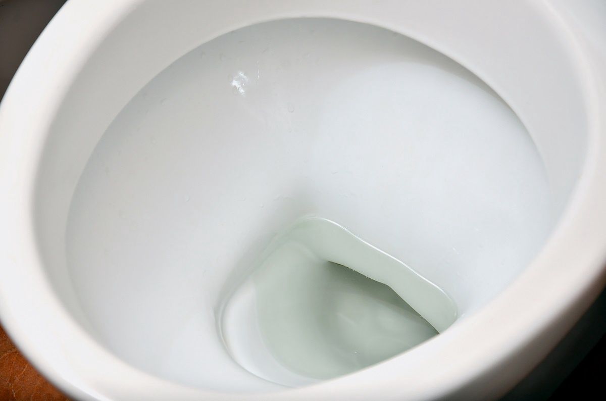 Kula do WC szybko usuwa bakterie i brud.