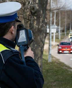 8 tys. zł mandatu. Za to wykroczenie policja karze bez litości