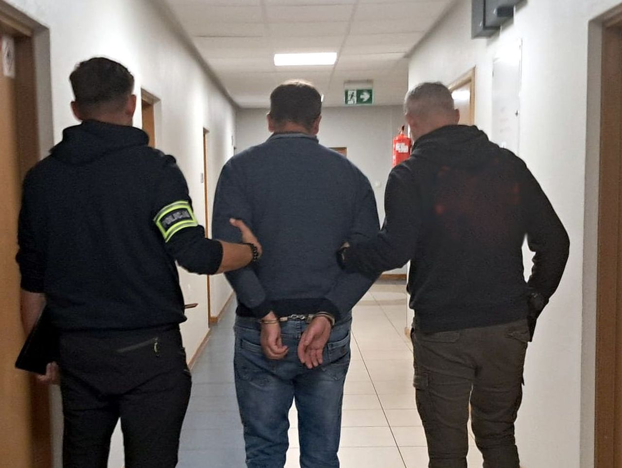 Elbląg: Podpisywali umowy na dzierżawę zwierząt i wyłudzali pieniądze. Wyłudzili tak ponad 8 milionów zł