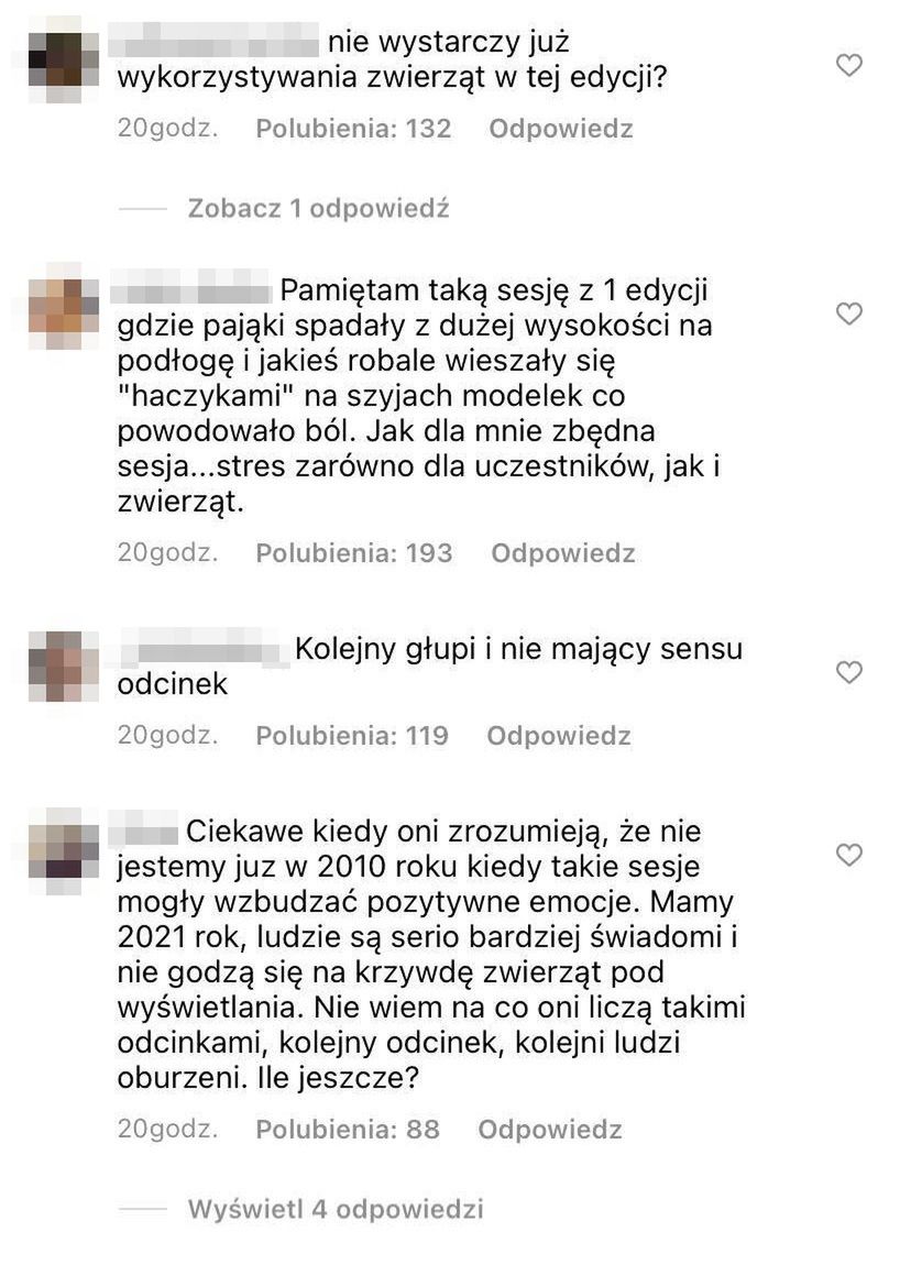 Fani krytykują kolejną sesję ze zwierzętami w "Top Model" 