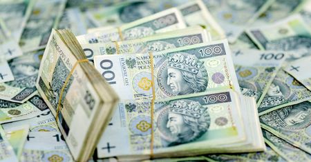 "Amber Gold dla bogatych" stworzone przez znanego profesora. Są pierwsze zarzuty