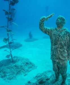 Australia. Powstaje niezwykłe podwodne muzeum