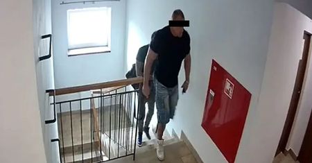 Sprawa Mariusza P. Dziennikarz money.pl zwrócił się z pytaniami. Zawodnik MMA szczuje psami