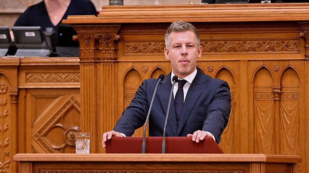 Premier Węgier Peter Magyar