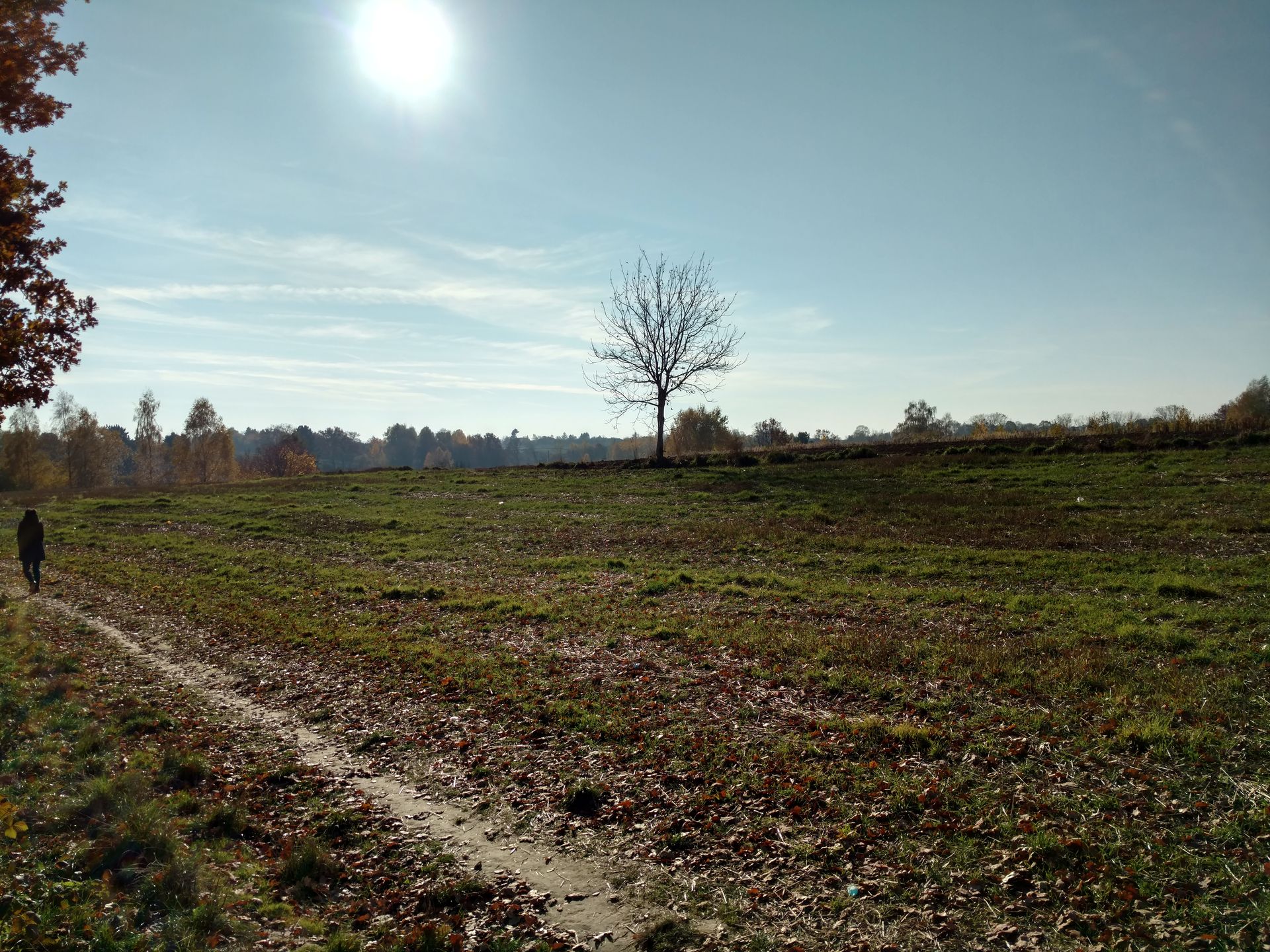 Moto X Style - test i recenzja 19
