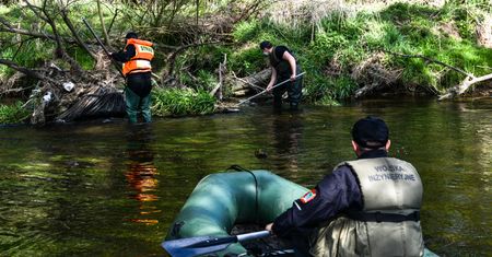 Poszukiwania 3,5-letniego Kacperka pod Bolesławcem. Nowy trop. W akcji psy tropiące
