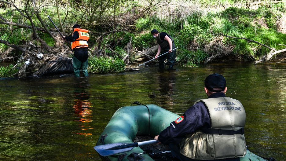 3,5-letni Kacper zaginął na działce w Nowogrodźcu pod Bolesławcem