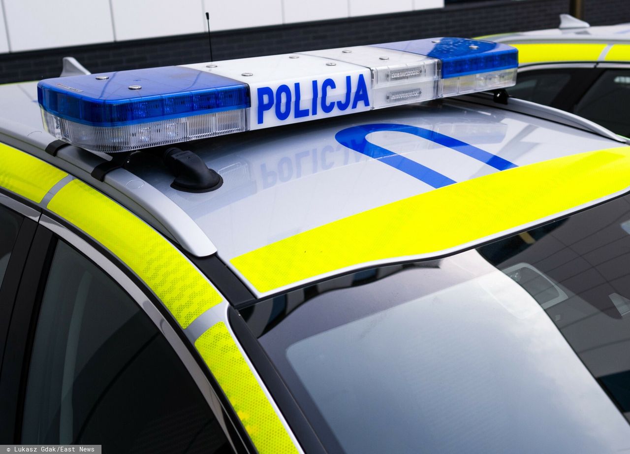 Zatrzymali ruch na autostradzie. Pobili się kibice polskich klubów