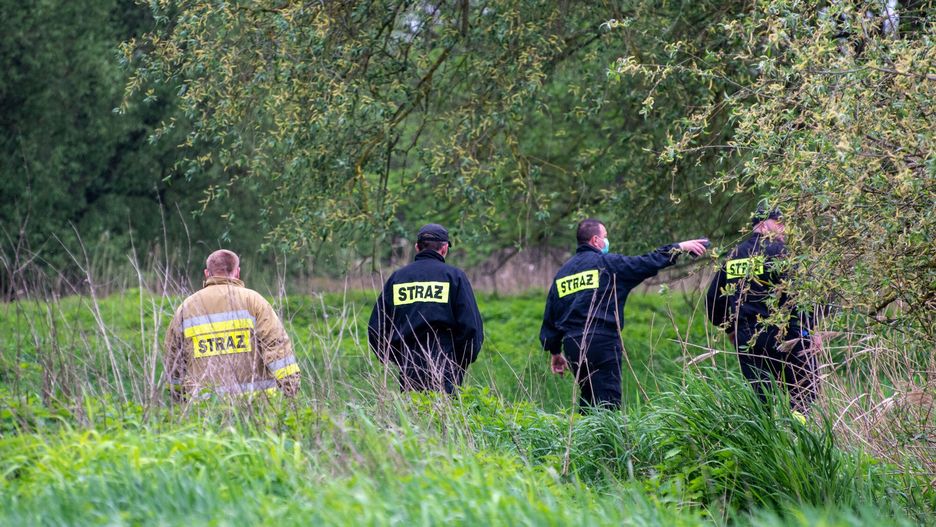 Policja