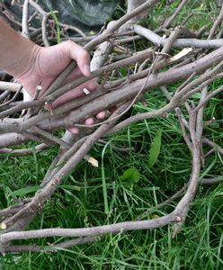 Kolejki po chrust. Leśnicy: nawet zbierany samodzielnie nie będzie za darmo
