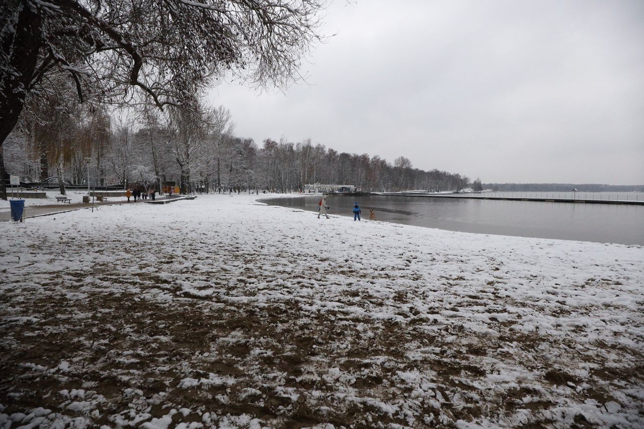 Tychy: Paprocany toną w śniegu. Pod biała pierzyną wyglądają jak z bajki