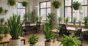 Najlepsze rośliny do przestrzeni coworkingowych