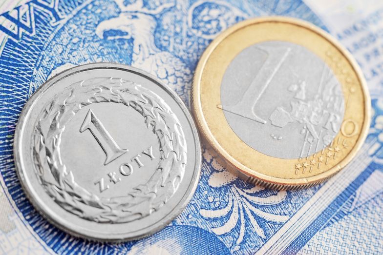 Ekonomiści chcą przyjęcia euro w Polsce. Podali datę graniczną