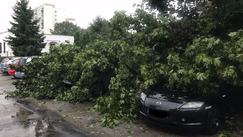 Powalone drzewa przygniotły samochody na ul. Paderewskiego na Czechowie