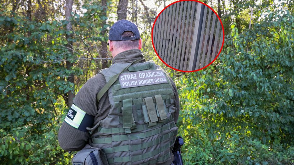 migranci na granicy