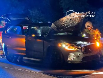 Potrącenie łosia przez auto na DK7. Zwierzę zginęło na miejscu