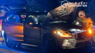 Potrącenie łosia przez auto na DK7. Zwierzę zginęło na miejscu