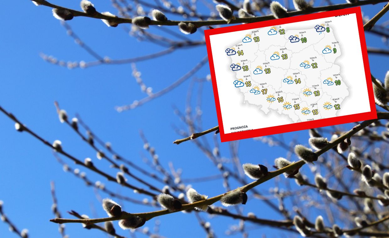 Wiosna szybko nas opuści. 17 stopni i od razu zmiana