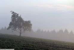 Pogoda na weekend. Chłodno, mgliście i wilgotno