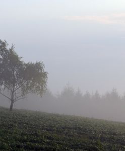 Pogoda na weekend. Chłodno, mgliście i wilgotno